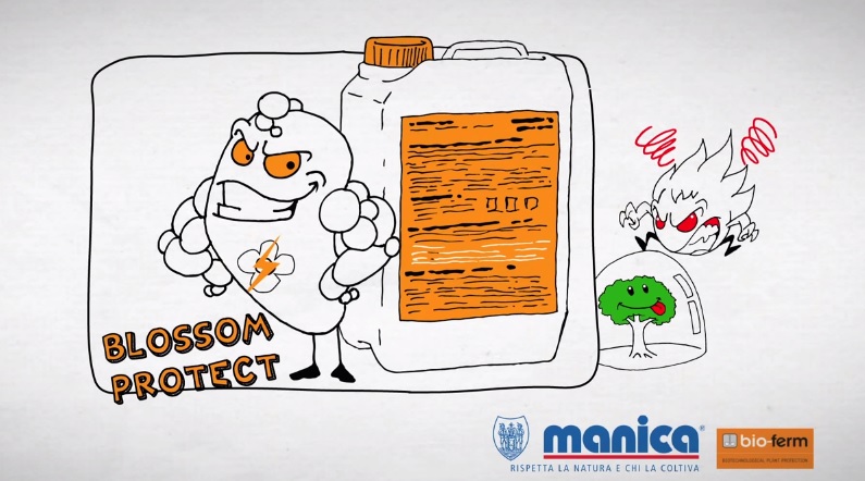 Protege tus cultivos frente a fuego bacteriano con BLOSSOM PROTECT