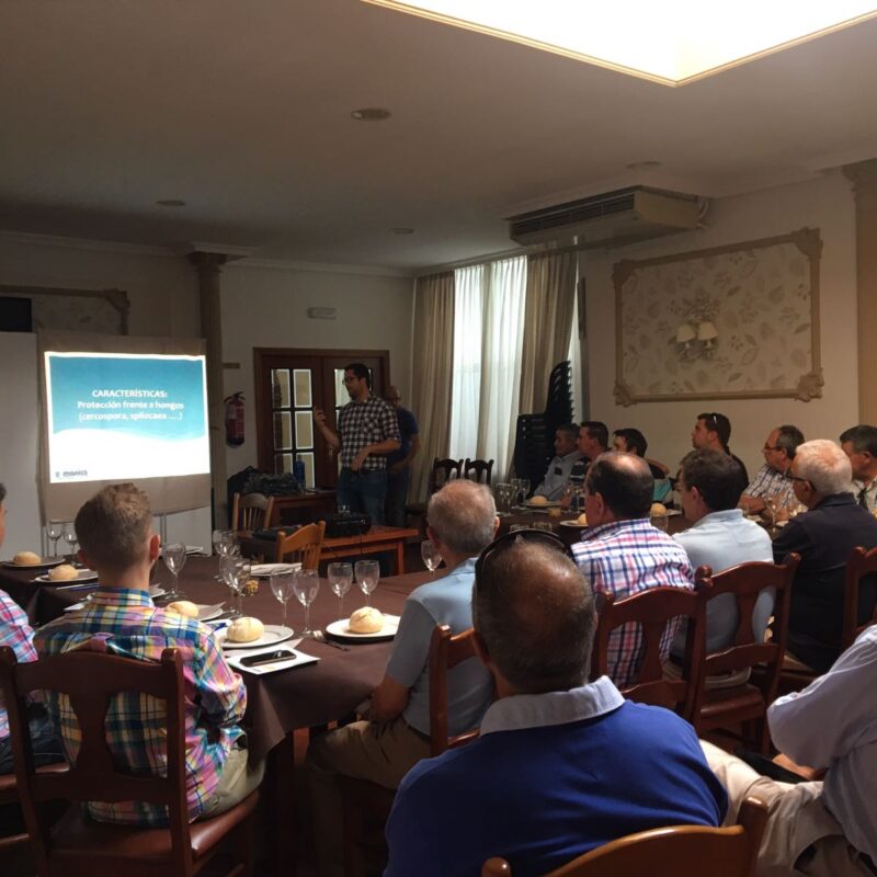 Charla informativa del producto MANISOL a olivicultores en Mancha Real (Jaén) - Manica Cobre