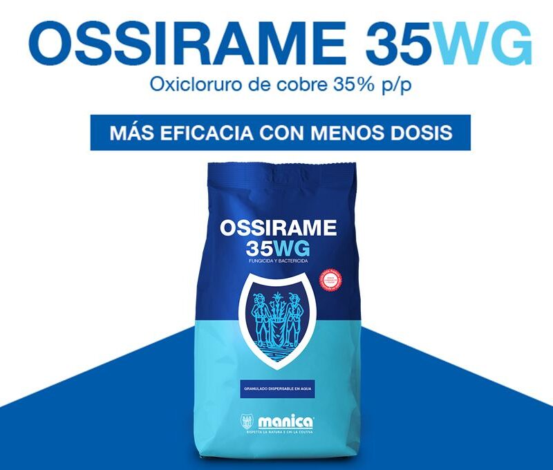 Ossirame 35 WG: más eficacia con menos dosis - Manica Cobre