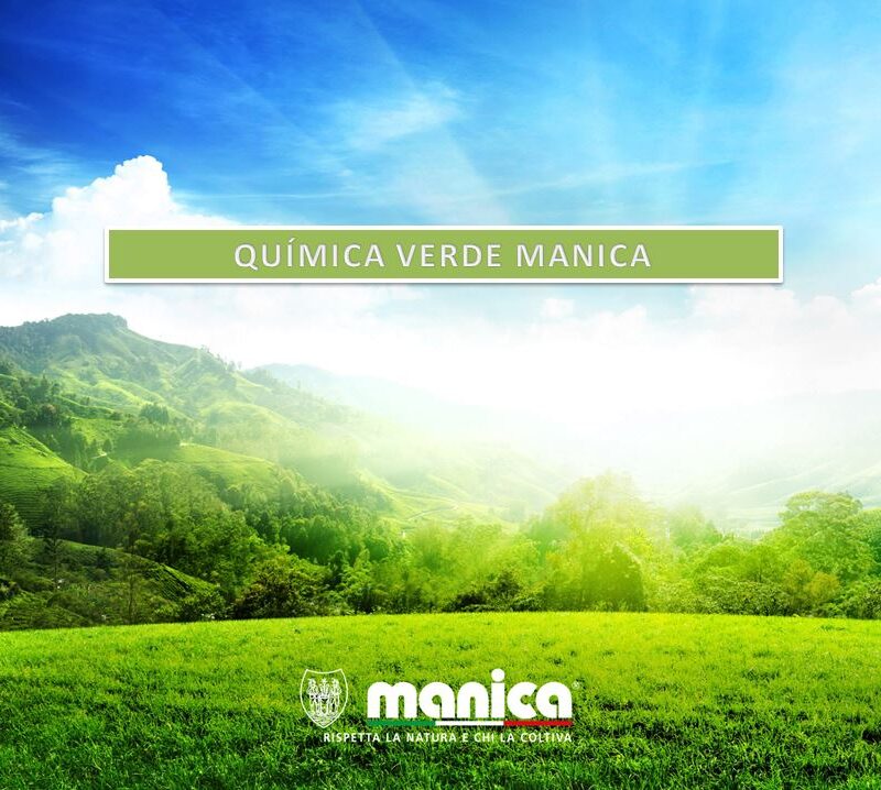 Manica: la química verde (I) - Manica Cobre
