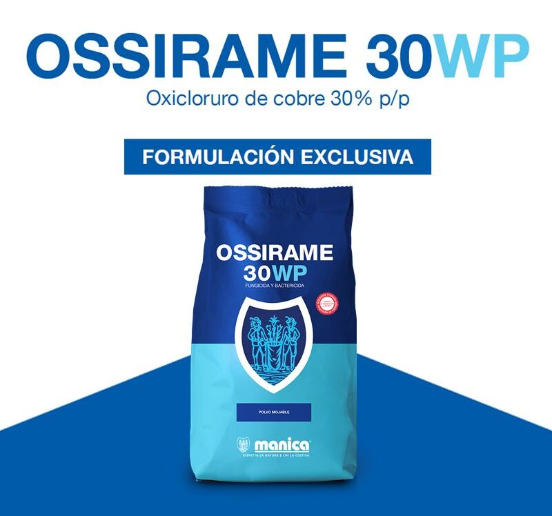 Ossirame 30 WP: único registro - Manica Cobre