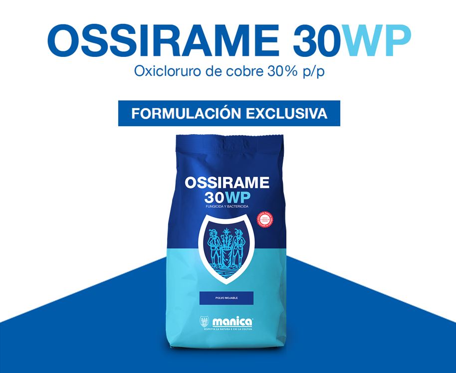 Ossirame 30 WP: único registro