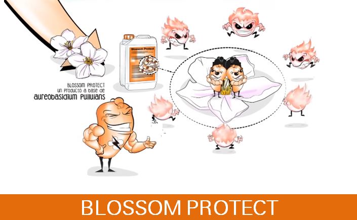 BLOSSOM PROTECT para combatir el fuego bacteriano