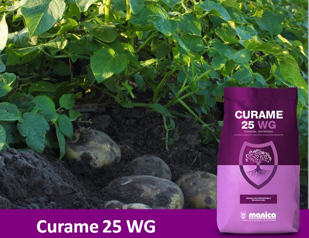 Curame 25 WG, producto único a base de cimoxanilo y oxicloruro de cobre