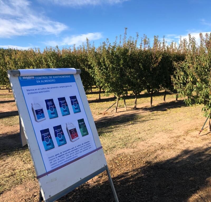 Estrategias Manica para el control de Xanthomonas en almendro - Manica Cobre