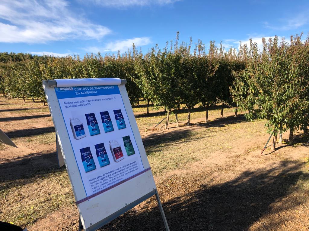 Estrategias Manica para el control de Xanthomonas en almendro