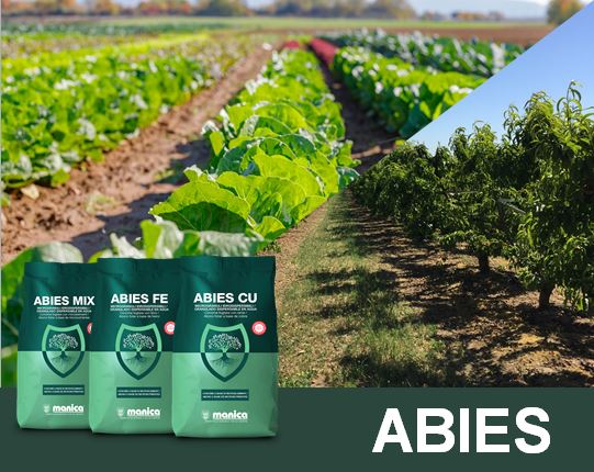 ABIES, gama de abonos foliares biodegradables