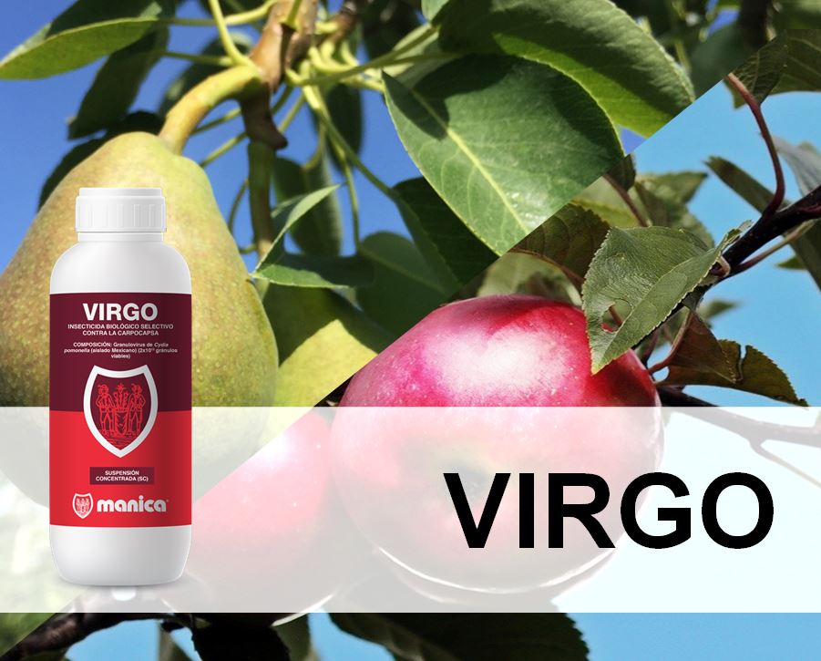 Ampliamos la gama de insecticidas con VIRGO