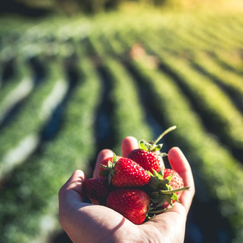 Seguimos trabajando - Manica Cobre