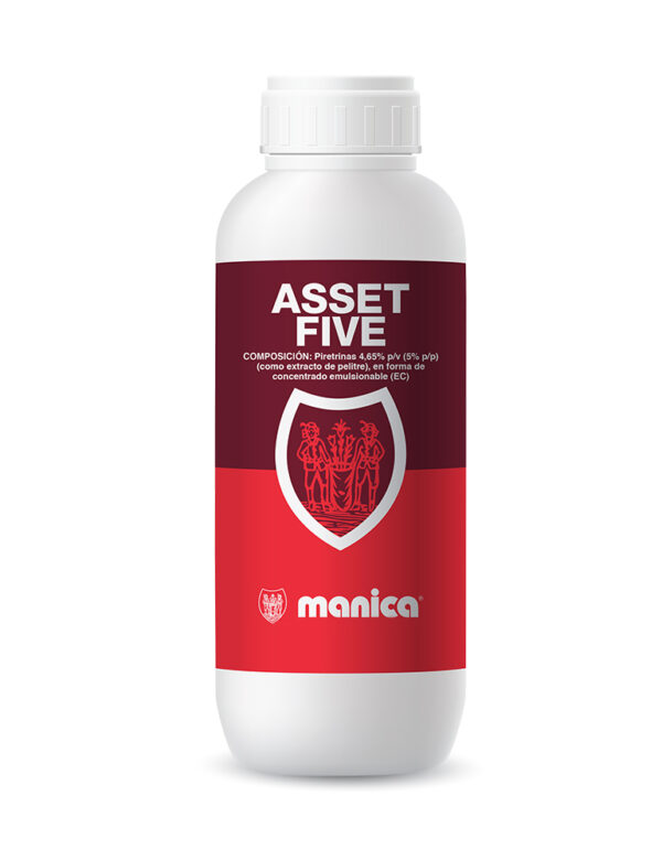 Asset Five - Manica Cobre