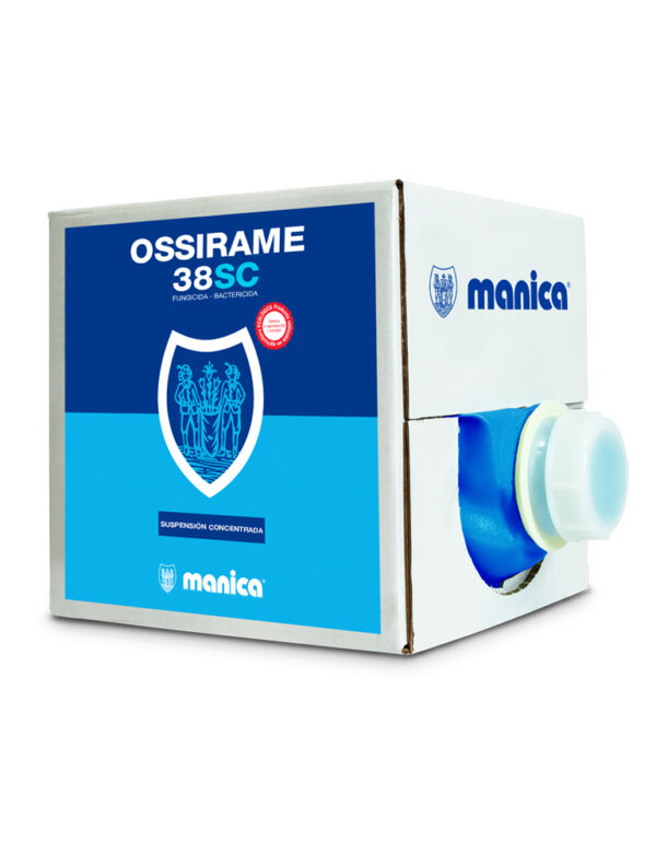 Ossirame 38 SC - Manica Cobre