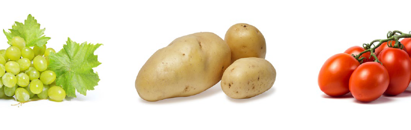 MANAMID fungicida a base de ciazofamida para vid, tomate y patata - Manica Cobre