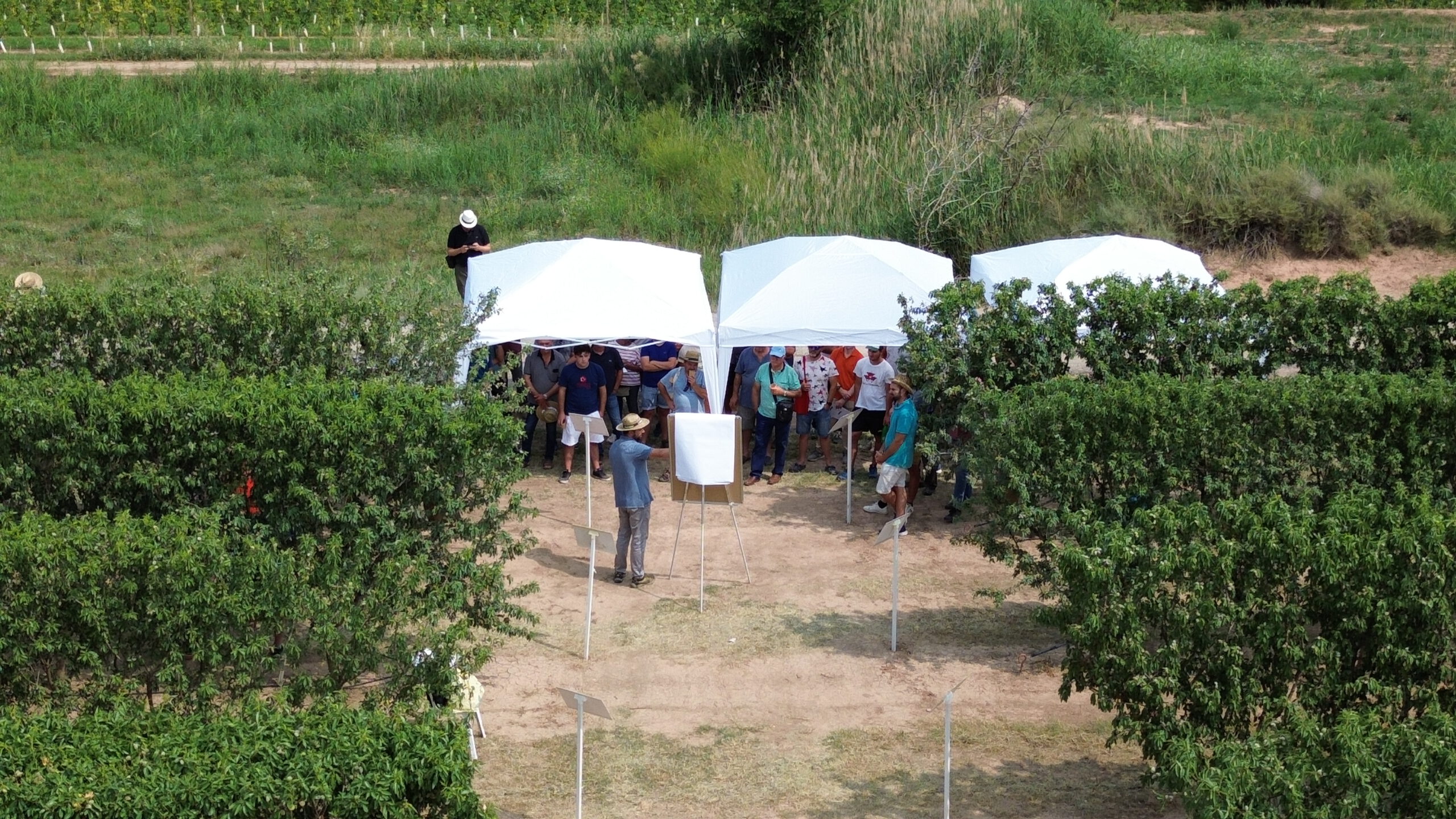 Manica participa en la XVI Jornada del Almendro de IRTA