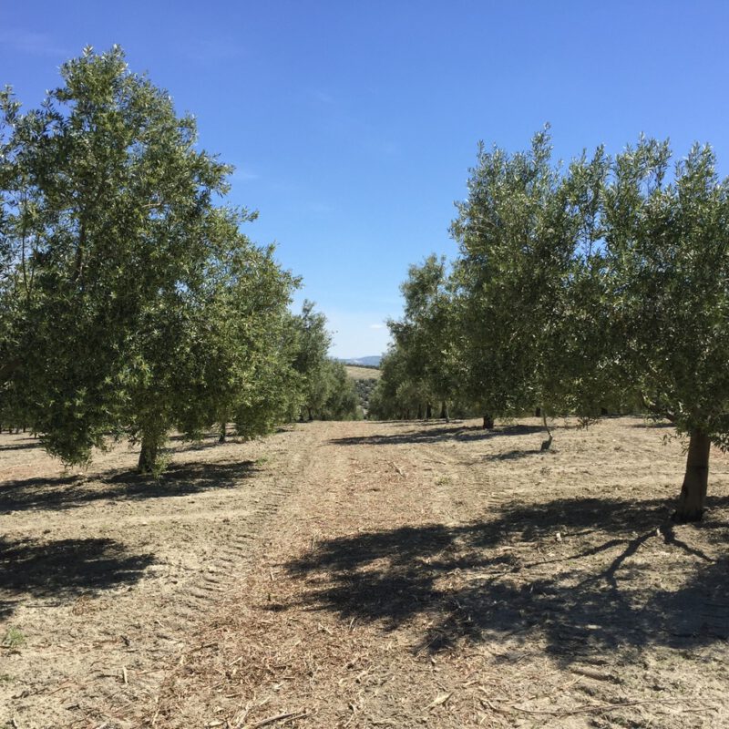 Manica, especialista em compostos de cobres apresenta maniflow - Manica Cobre