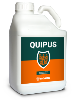 Quipus