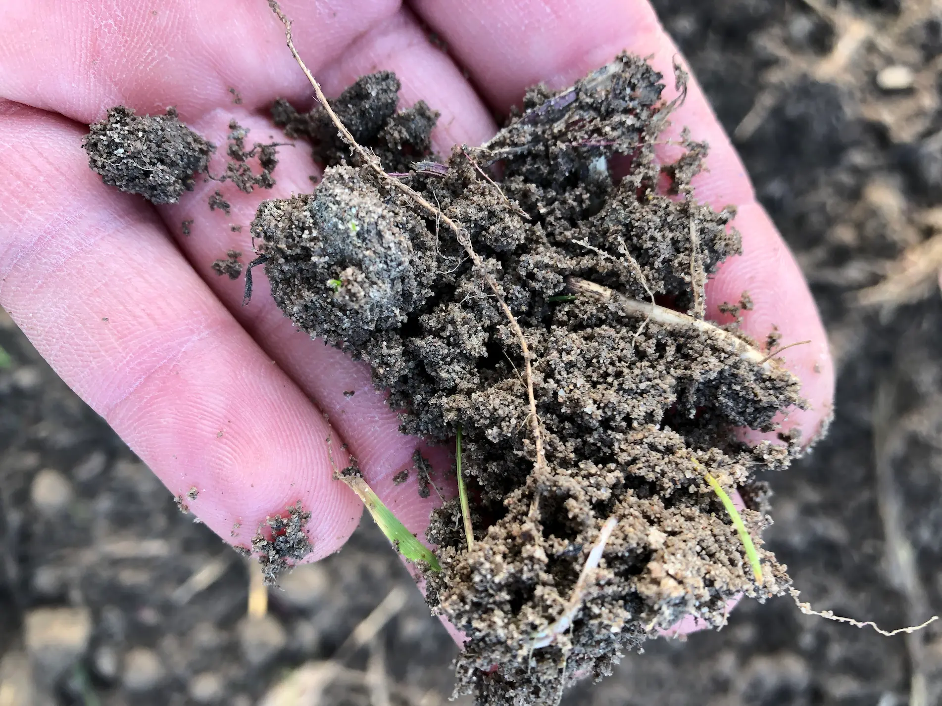 Retentis, el nuevo producto de Manica